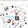 frenchie stickers french bulldog vsco canada